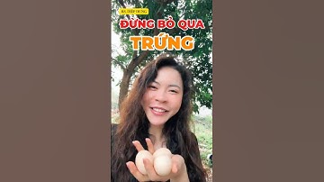 Lợi Ích Rất Tuyệt Vời Của Trứng Các Bạn Đã Biết Chưa! |DrDiệpDung #trungga #shorts