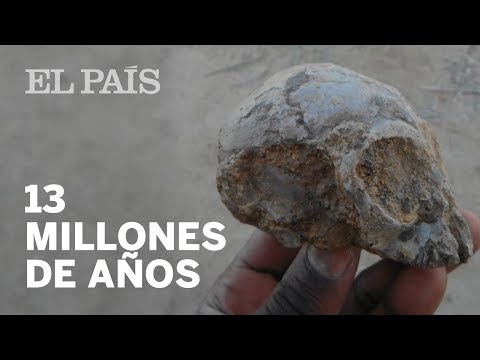 Vídeo: Los Antiguos Cráneos Alargados No Pertenecen A Los Humanos - Vista Alternativa
