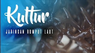 Kultur Jaringan Rumput Laut