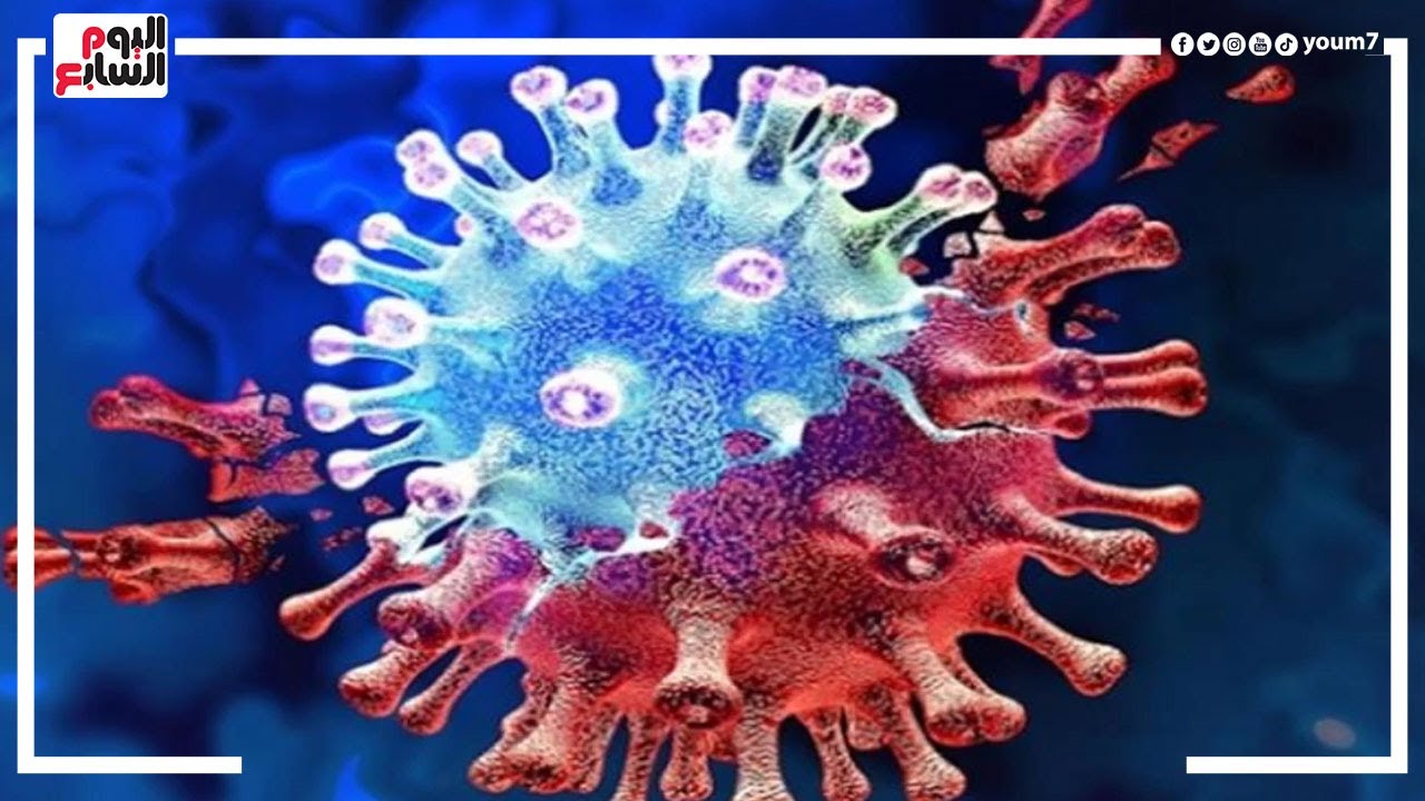 فيروس جديد يصيب الأطفال.. أر إس في يهدد صحة الصغار .. د. أشرف عقبة يوضح التفاصيل