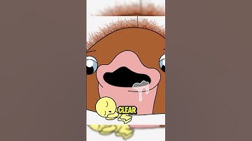 😂Don’t Feed This Blob!