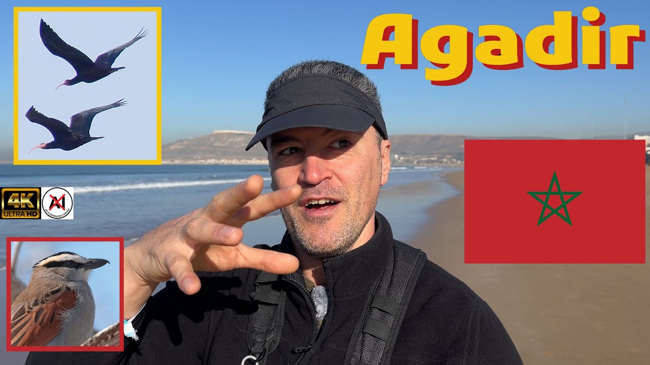 Agadir Morocco Part 2. Filming Rules, Crossing The Road, Taxis, Birdwatching.