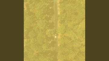 Distinguished Latin Guitar - Vibe for Coming Home from Work