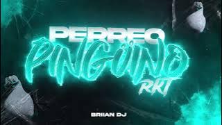 PERREO PINGÜINO RKT 🔥 - 2 KITTY - BRIIAN DJ 🐧