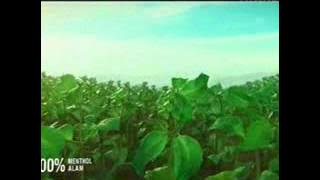 Download lagu Transtv La Menthol 21 41 (18/03)