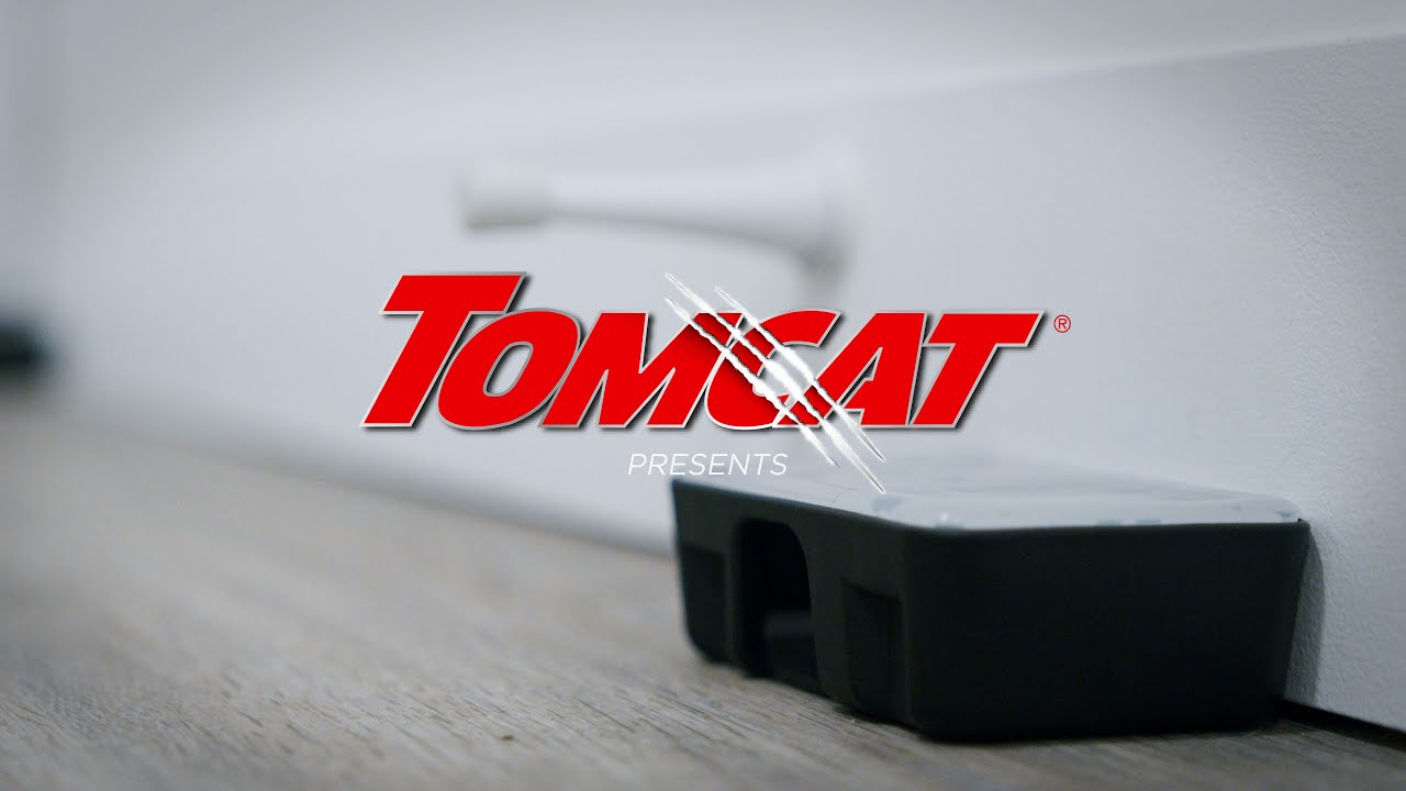 How To Use Tomcat Disposable Rat And Mouse Bait Stations 