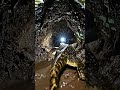 Desert Lizard Crosses a Flooded Underground Tunnel | Lizard POV Nature Documentary #documentary