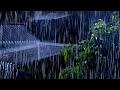 Heavy Rain on Roof &amp; Intense Thunder Sounds at Night | Rain Sounds for Sleep, Relax, Study, Meditate