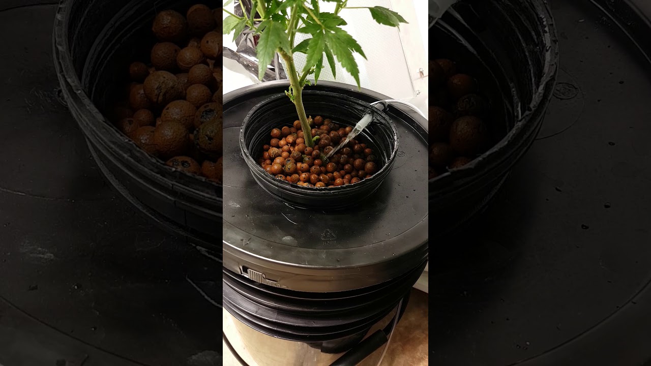Custom air drip aeroponic system