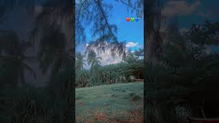 Mon coeur,mon ame, 🙏✨#temoignagechretien #america #amen #viralvideo #viral