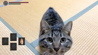Touching a house cat is about as hard as Dark Souls, and you'll die. screenshot 5
