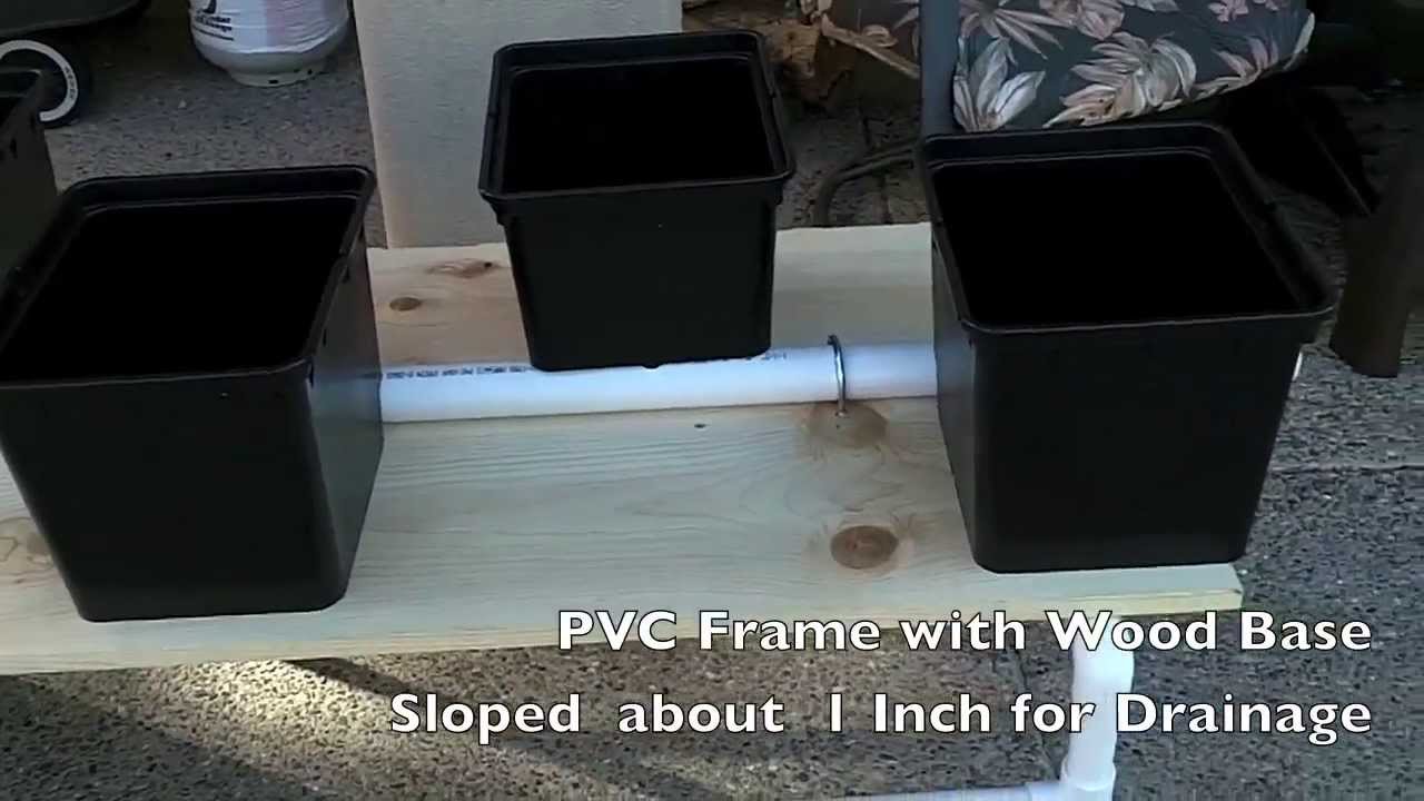 Dutch Bucket Hydroponic Tomatoes Home Made System YouTube