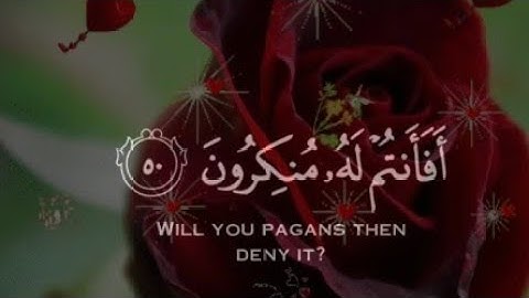 وهذا ذكر مبارك انزلناه |🌿اسلام صبحي من سورة الانبياء