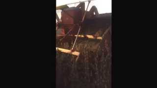 Grain Rush Season 2 pt 6