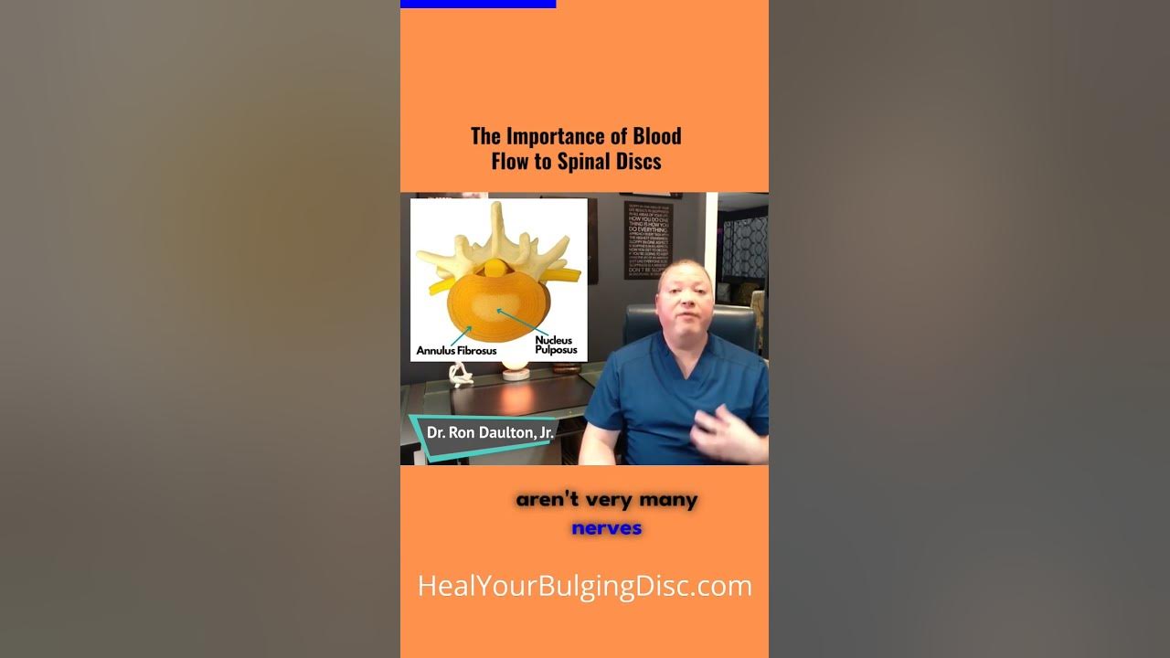 the-importance-of-blood-flow-to-spinal-discs-shorts-backpain