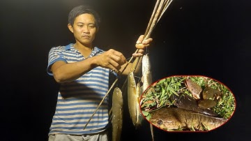 Soi cá lóc đêm khuya [suối rừng vlog]