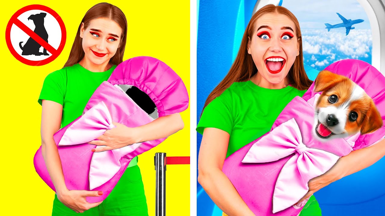 Sneak Pets Into The Plane Funny Ideas To Sneak Anything Anywhere by