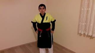 Sayokan Hareketleri Part 2