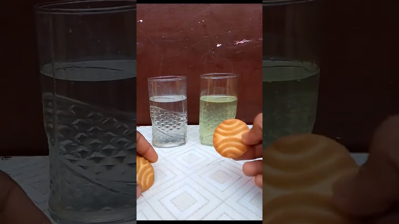 Eno & Biscuit experiment 