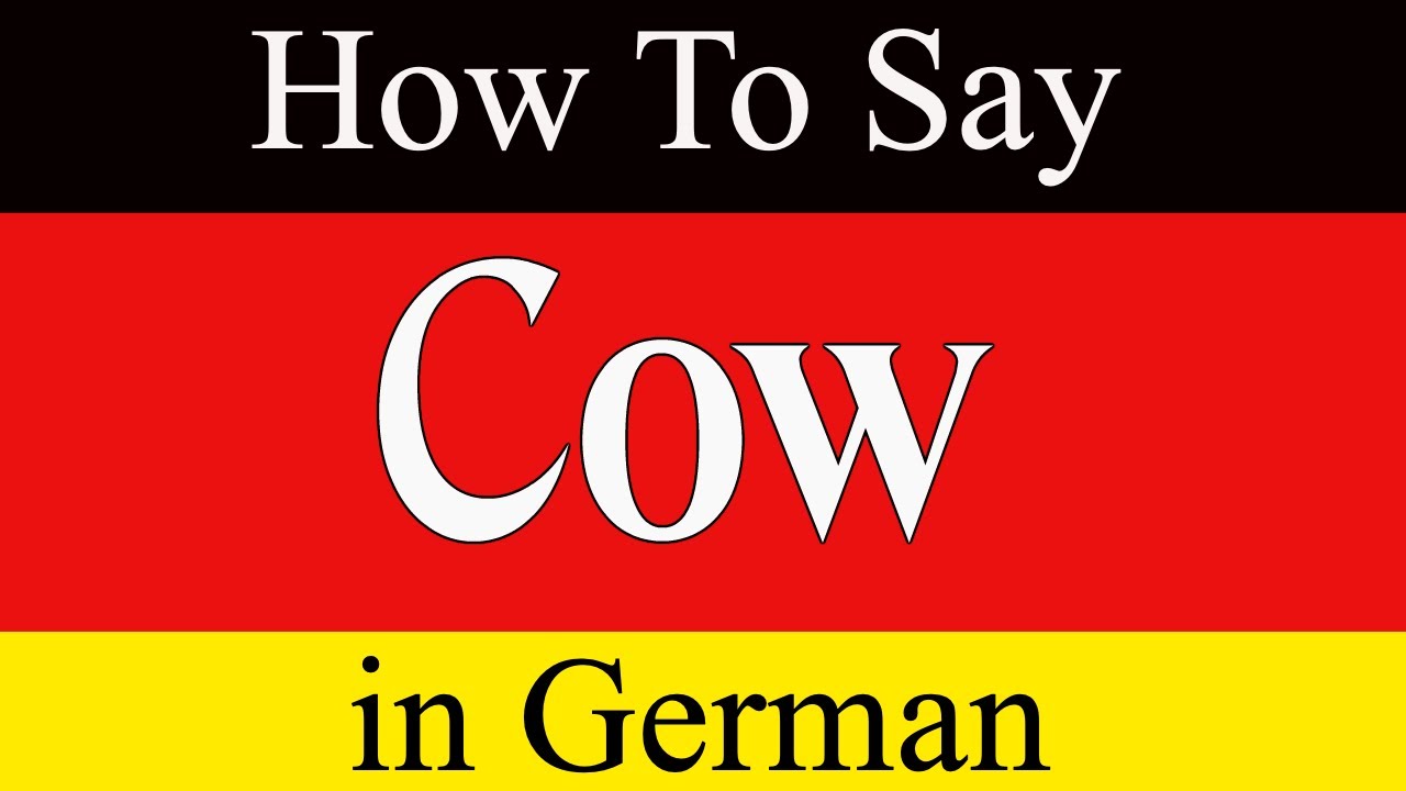 Learn German How To Say Cow In German German Lessons YouTube Learn German How To Say Cow In German German Lessons YouTube