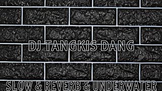 DJ TANGKIS DANG - VERSI SLOW & REVERB & UNDERWATER
