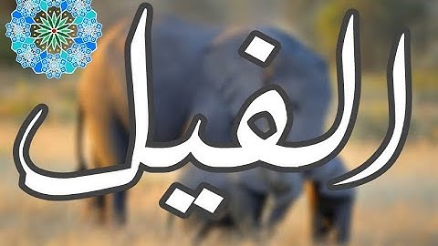 سورة الفيل - معاذ فلاتة