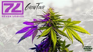 7 Leaves: Grow Tour, 60+ Strains all Grown in California, Legacy Owners