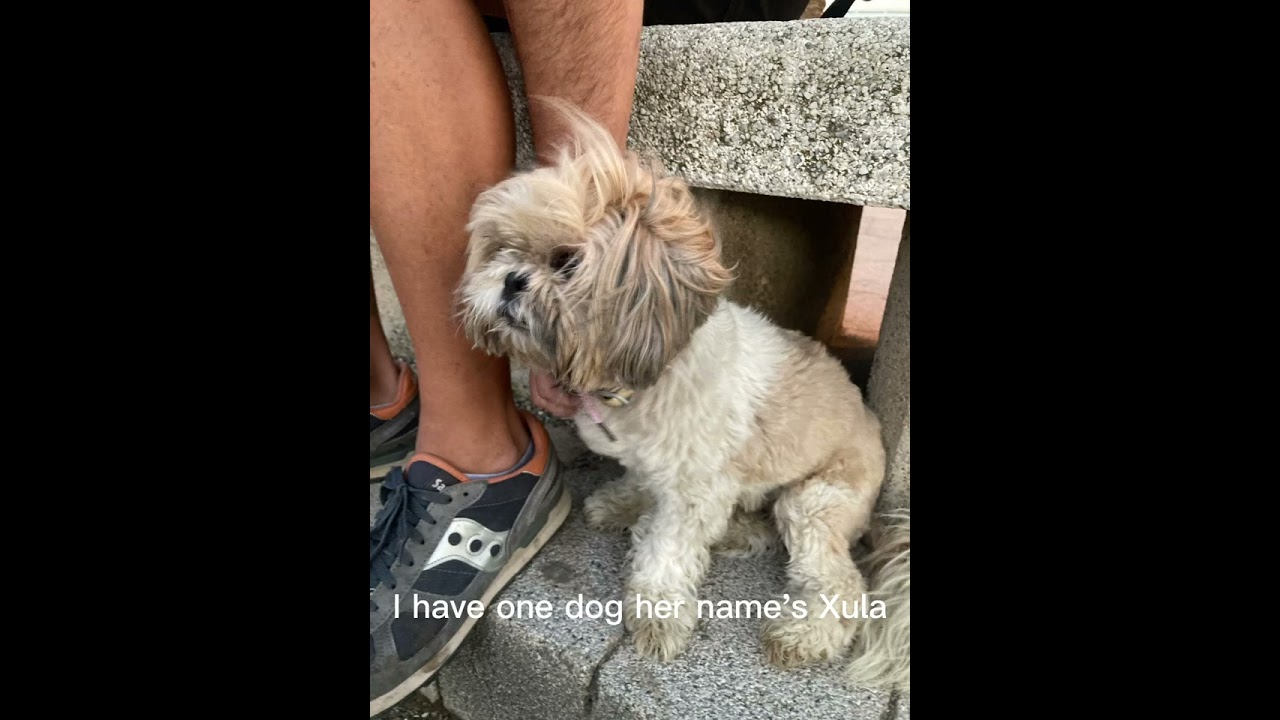 43B3DFE8 9870 422D 9F0D A589CFCBAD8F