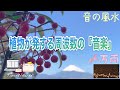 【財運・徳・繁栄・ご縁・人間関係・生命力・大地・ハート・528 Hz】富士山パワーを浴び、静かに巡る『万両』が奏でる『音の風水』♪（Part 77）