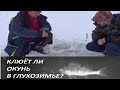 Как ловить окуня в глухозимье, съёмки подводной камерой. клюёт ли окунь в глухозимье?