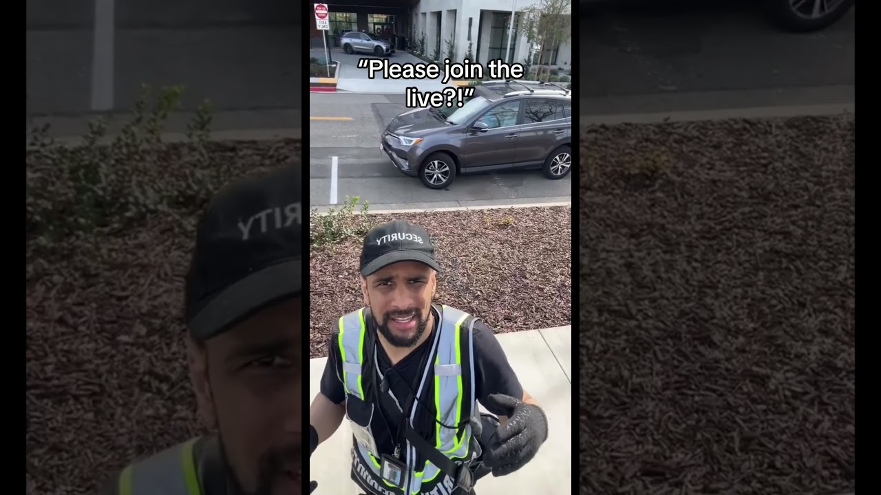 The Npc is bad at parking