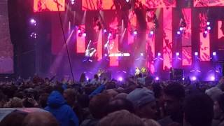 Sugar Spun Sister  17616