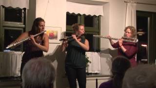 TULJA - flute trio Denmark - Højbystævnet 2012