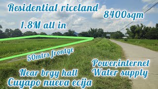 lot#327 Residential riceland 50mtrs frontge ganda ng location 8400sqm 1.8M all in cuyapo nueva ecija