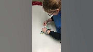 Avian radiograph positioning lateral