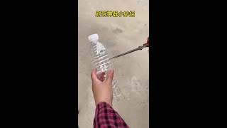 7383462841044552994.mp4