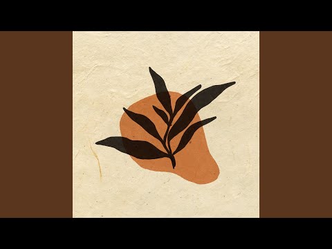 The Kicker - Racoma