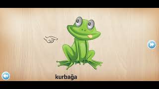 Sevimli Hayvanlar Yapboz. 360 Turkish, Türkçe, Ürk, Ne? Tv