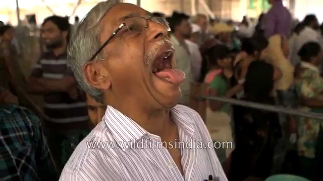 Thousands swallow live fish in India to relieve asthma - YouTube