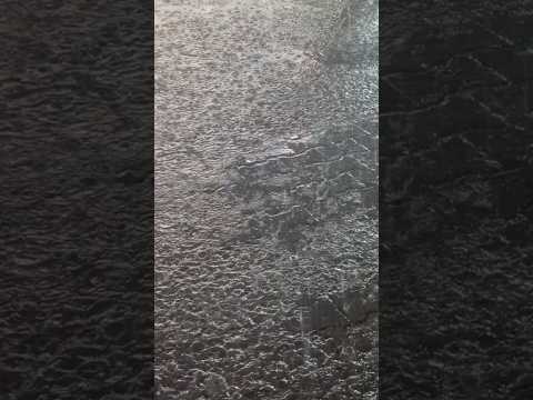 تماشينا والارض غيوم