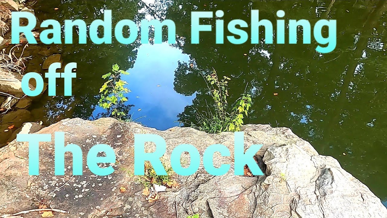 Multi Species off The Rock - YouTube