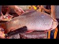 10 kg giant rohu fish cutting live in fish market bangladesh  fish cutting skills