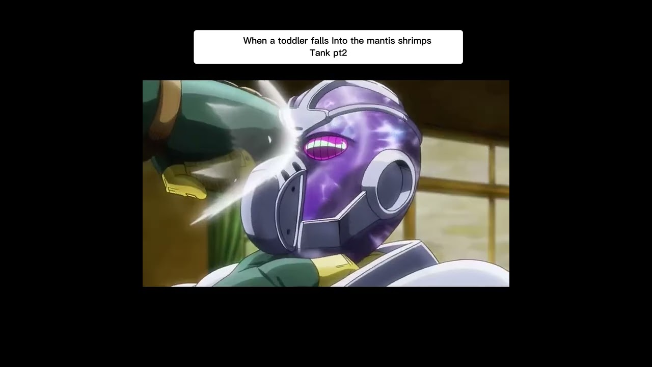 When a toddler falls into the mantis shrimp tank pt2 