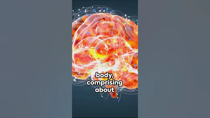 The Unexplored Depths: Discovering 10 Mind-Blowing Brain Secrets