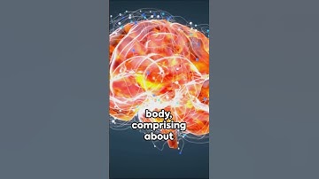 The Unexplored Depths: Discovering 10 Mind-Blowing Brain Secrets