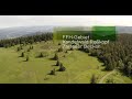 Naturfilm: Artenvielfalt im FFH-Schutzgebiet "Kandelwald, Roßkopf und Zartener Becken"