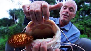 Catching A Red Tail Catfish | Catfish | River Monsters
