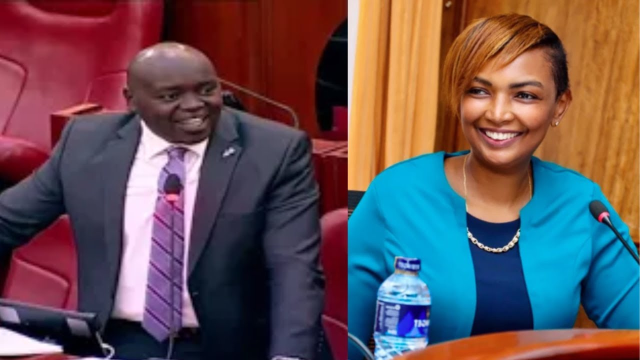 «КАРЕН НЬЯМУ ВИДЕЛА МНОГО МАШИН В КРОВАТИ» СМЕХ, КАК СЕНАТОР ЧЕРАРГЕЙ ХРАНИТ КАРЕН НЬЯМУ