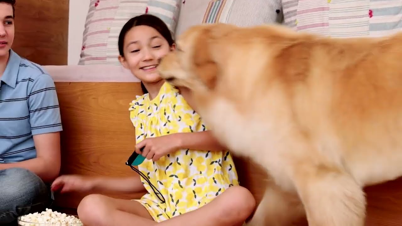 Bob PetHair Appetite™ | The Insatiable Helper