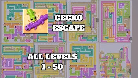 Gecko Escape All Level 1-50 Walkthrough Solution